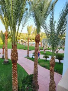 Xperience Kiroseiz Parkland - 36