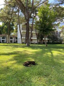 Sherwood Exclusive Kemer - Kids Concept - 72