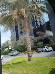 Ramada & Suites by Wyndham Ajman - 33