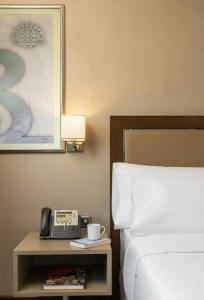 Occidental Ankara - 27