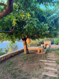 Ece Sovalye Island - 15