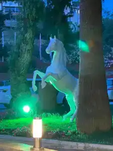 Armas Green Fugla Beach - 89