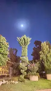 Alba Resort - Ultra All Inclusive - 89