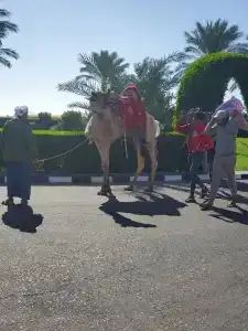 Stella Di Mare Beach & Spa - 75