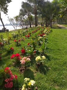 Garden Sea View Resort - 37