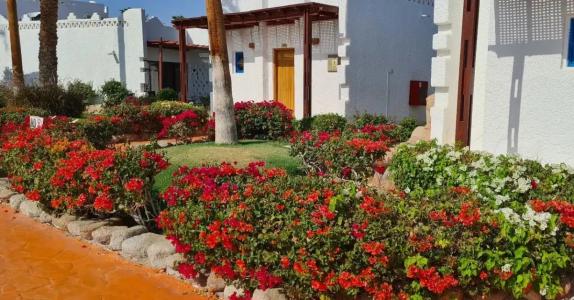 Fayrouz Resort - 89