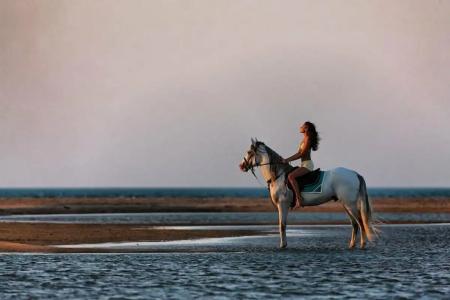 Fanadir El Gouna - 11