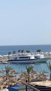 Beach Albatros Resort - 22