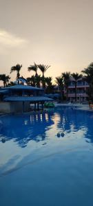 Le Pacha Resort - 43