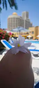 Al Hamra Residence - 37