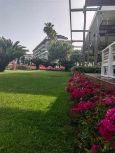 Acanthus Cennet Barut Collection - Ultra All Inclusive - 79