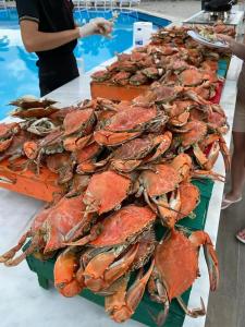 Euphoria Palm Beach Resort - 86