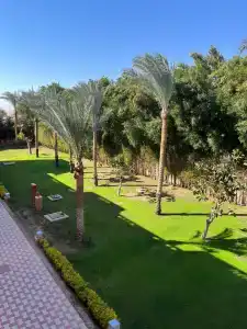 Pickalbatros Aqua Blu Resort - Hurghada - 36