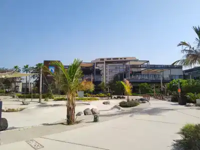 Hyatt Centric Jumeirah - 86