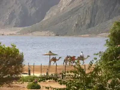 Happy Life Village Dahab - 59