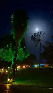 Gloria Verde Resort - Kids Concept - 55