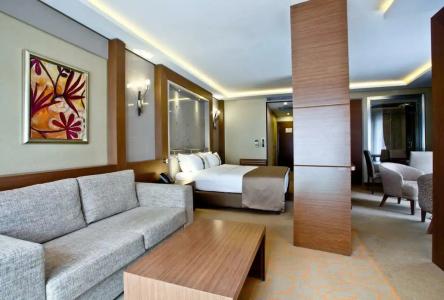 Holiday Inn Ankara-Kavaklidere, an IHG - 17