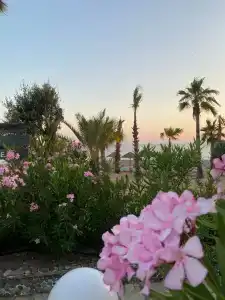 Flora Garden BEACH - Couples Concept - Adults over 16 Only - 22