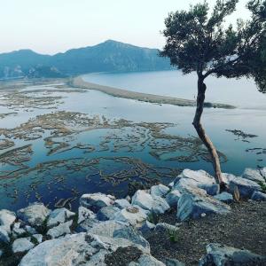 Dalyan Nish Caria - 72