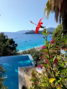 Beyaz Yunus - Adult Only - 14