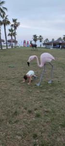 Loxia Comfort Club Side - 53