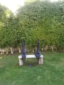 Форт Арабеск Резорт, Спа & Виллы - 56