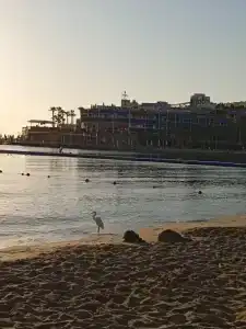 Cataract Layalina Naama Bay - 53