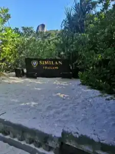 Karon Sea Sands Resort-SHA PLUS - 33