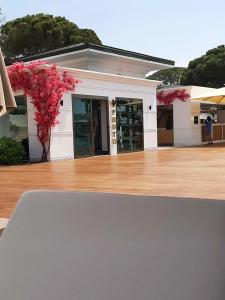 TUI Magic Life Belek - 39