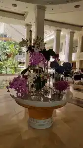 Dusit Thani Pattaya - SHA Extra Plus - 81