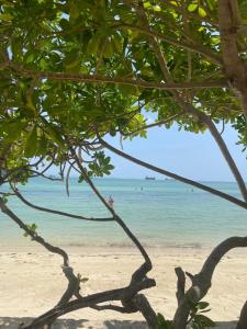 Pullman Phuket Panwa Beach Resort - 44