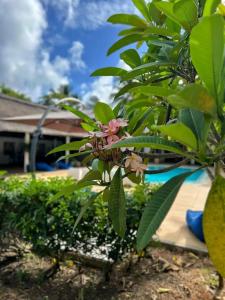 Toparadis Guest House - 44