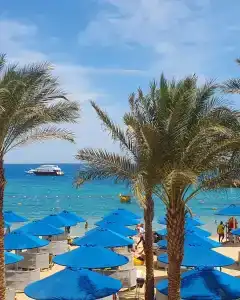 Beach Albatros Resort - 66