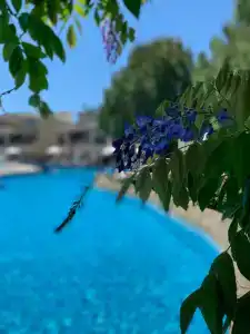 Selectum Family Resort Side - 95