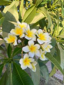 Pharaoh Azur Resort - 93