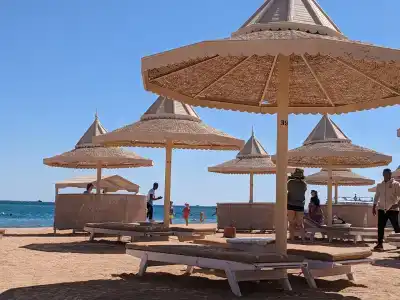 The Grand Resort - 51