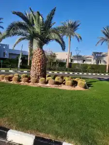 Stella Di Mare Beach & Spa - 43