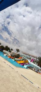 Desert Rose Resort - 94