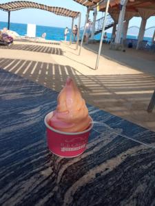 Sphinx Aqua Park Beach Resort - 61