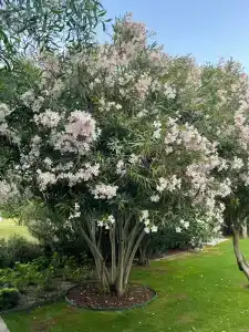 Six Senses Kaplankaya - 29