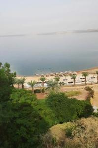 Hilton Dead Sea Resort & Spa - 24
