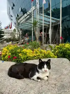 Transatlantik & Spa - 38