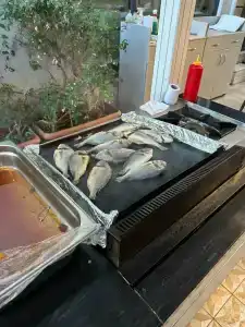 Begonville Beach - Adult Only - 52