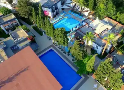 Bitez Garden Life - 71