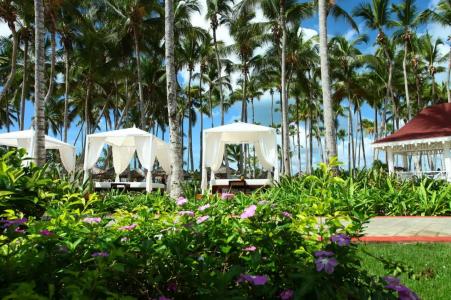 Bahia Principe Luxury Bouganville - Adults Only All Inclusive - 36