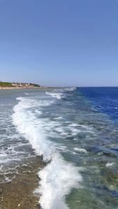 Cleopatra Luxury Resort Sharm El Sheikh - 13