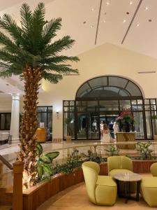 Park Regency Sharm El Sheikh Resort - 19