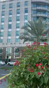 Radisson Blu, Dubai Media City - 50
