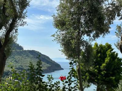 Aria Claros Beach & Spa Resort – All Inclusive 24H - 62