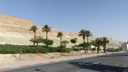 Vert Dead Sea - 44